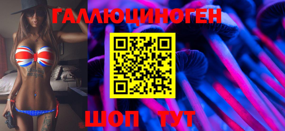 Саров  Галлюциногенные грибы Psilocybe  Вход с VPN  Псилоцибиновые грибы мухоморы 